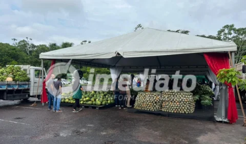 80 toneladas de alimentos da agricultura são doados para Instituições Sociais