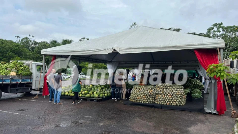 80 toneladas de alimentos da agricultura são doados para Instituições Sociais