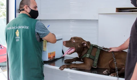 Confira o calendário para agendamentos de castração de cães e gatos em Manaus