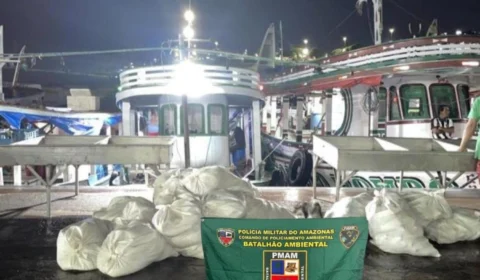 PMAM apreende mais de uma tonelada de pescado ilegal na feira da Panair