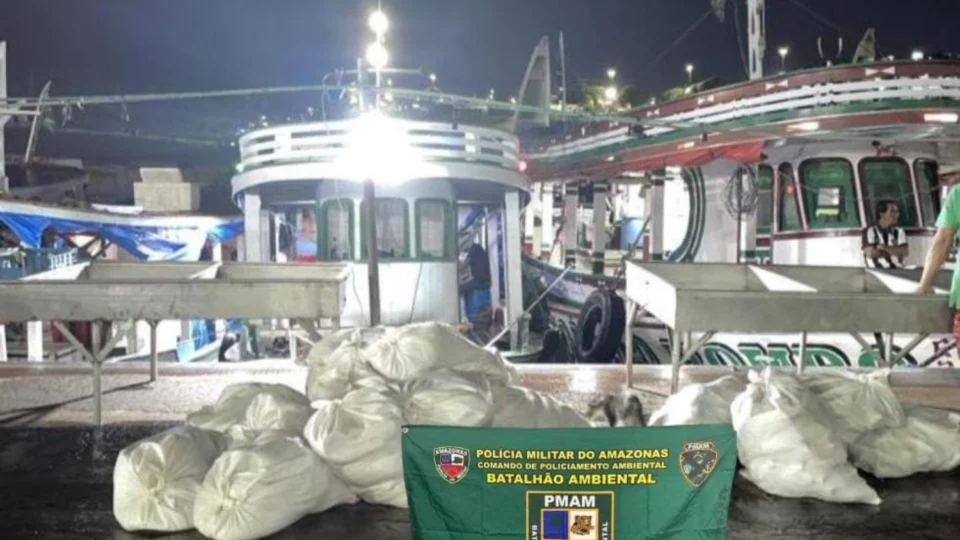 PMAM apreende mais de uma tonelada de pescado ilegal na feira da Panair