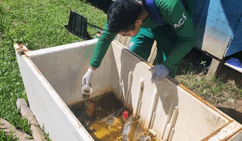 Amazonas apresenta médio risco para circulação de Aedes aegypti