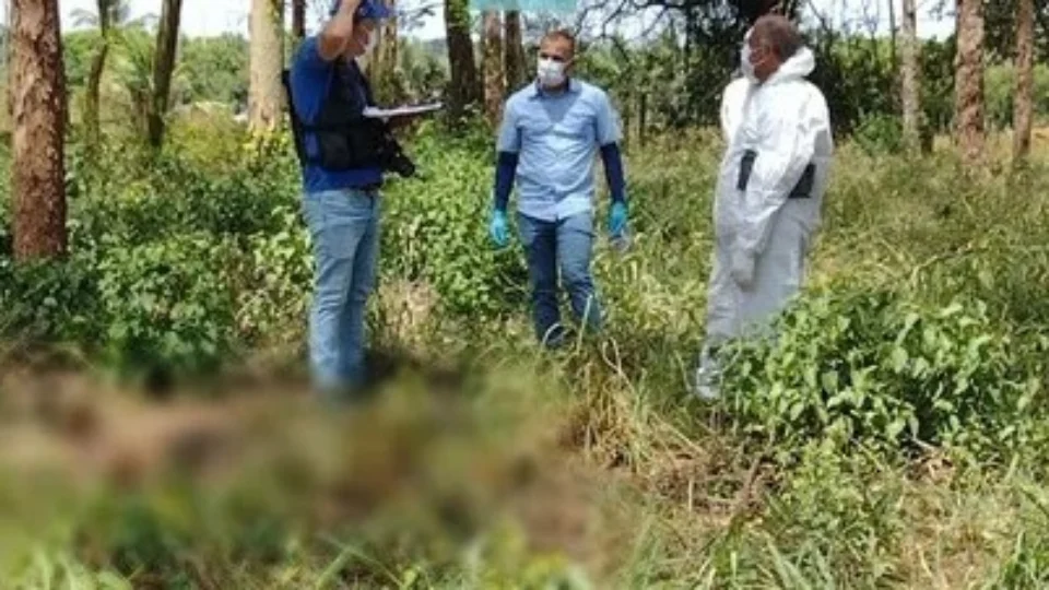 Cadáver é encontrado sem pés e mãos no meio de plantação em Alagoas