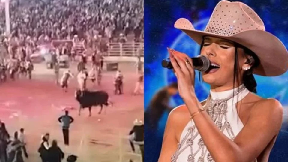 VEJA VÍDEO: touro foge de arena antes de show de Ana Castela e pessoas ficam feridas
