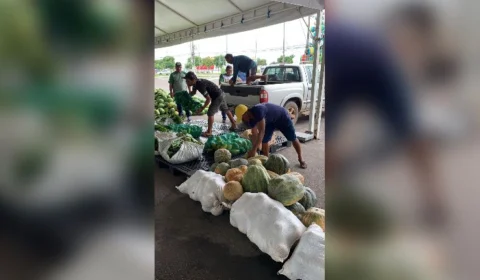 Em Manaus, o Programa de Aquisição de Alimentos distribui mais 46 toneladas de alimentos