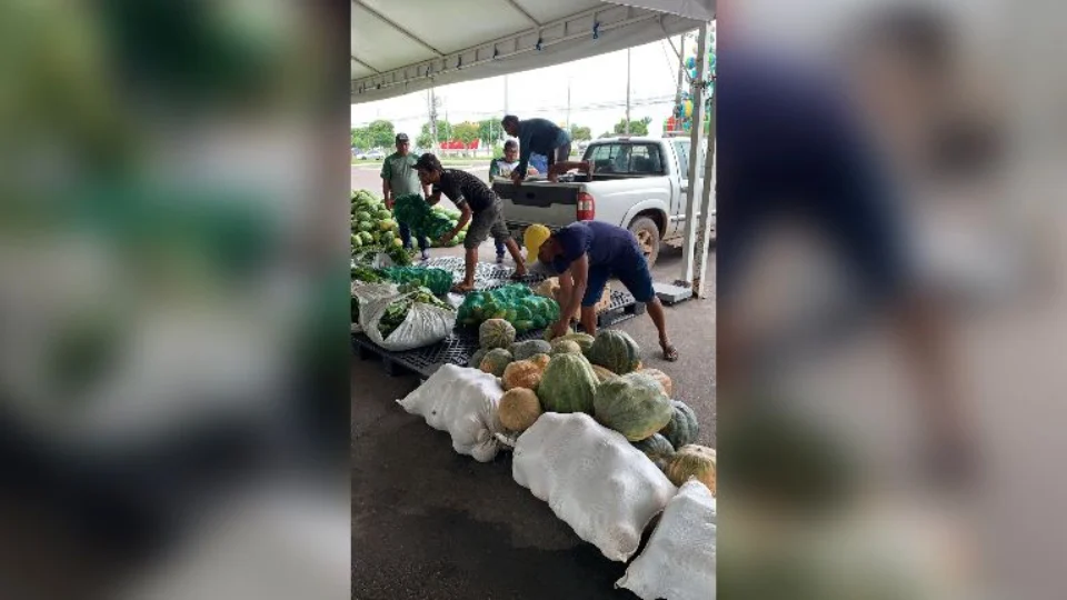 Em Manaus, o Programa de Aquisição de Alimentos distribui mais 46 toneladas de alimentos