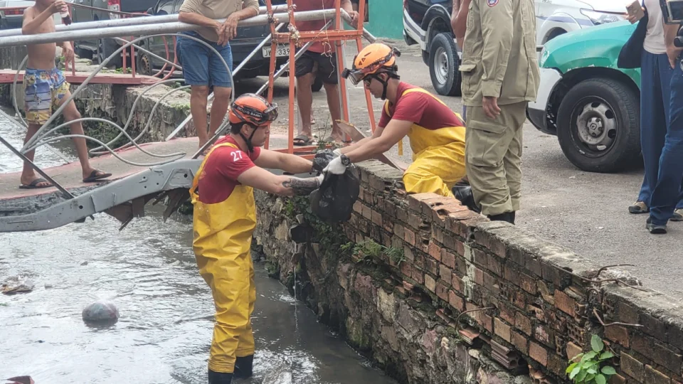 Feto é encontrado dentro de igarapé no bairro Alvorada