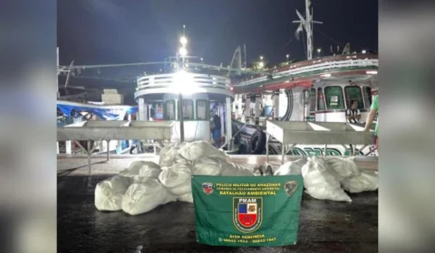 PMAM apreende mais de uma tonelada de pescado ilegal na feira da Panair