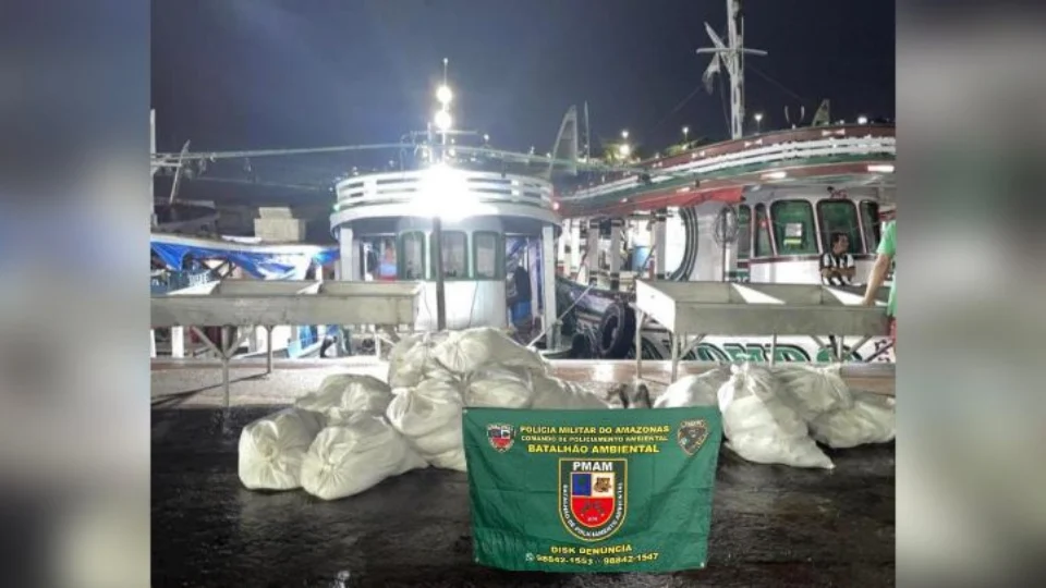 PMAM apreende mais de uma tonelada de pescado ilegal na feira da Panair