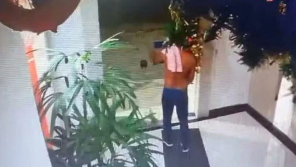 VEJA VÍDEO: Assaltante ousado invade prédio e rouba árvore de Natal