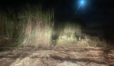 Homem mata “amigo” inquilino, lava casa e esconde corpo em canavial