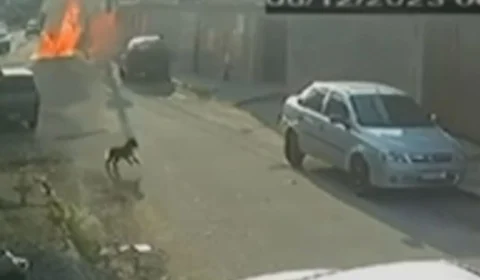 Vizinho ateia fogo em sargento da Marinha após briga por fezes de cachorro
