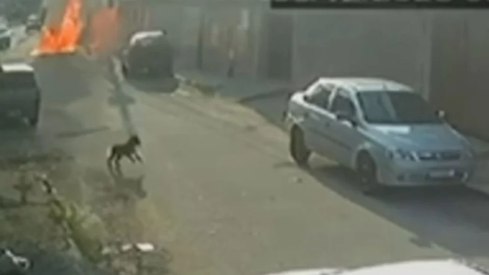 Vizinho ateia fogo em sargento da Marinha após briga por fezes de cachorro