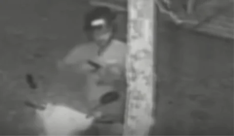 IMAGENS FORTES: guarda civil mata a tiros o próprio cachorro