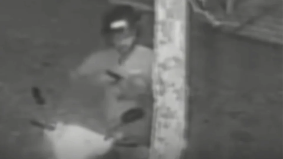 IMAGENS FORTES: guarda civil mata a tiros o próprio cachorro