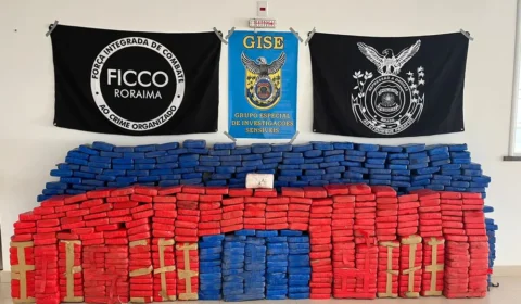 PF apreende quase 1 tonelada de drogas em Boa Vista-RR