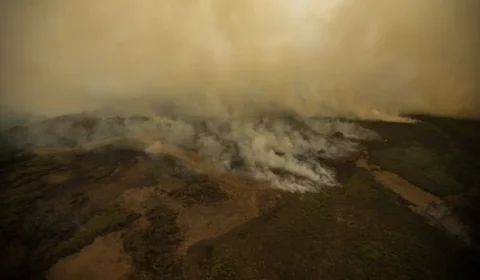 Pesquisa mede emissão de óxido nitroso na Amazônia e no Pantanal