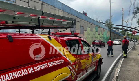 Árvore cai em cima de carro e deixa trânsito lento na rotatória do Coroado