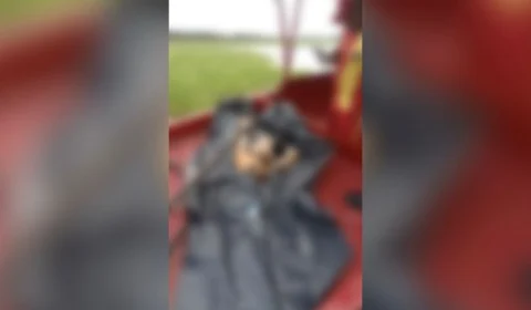 Homem esquartejado é encontrado em lago no Col. Antônio Aleixo