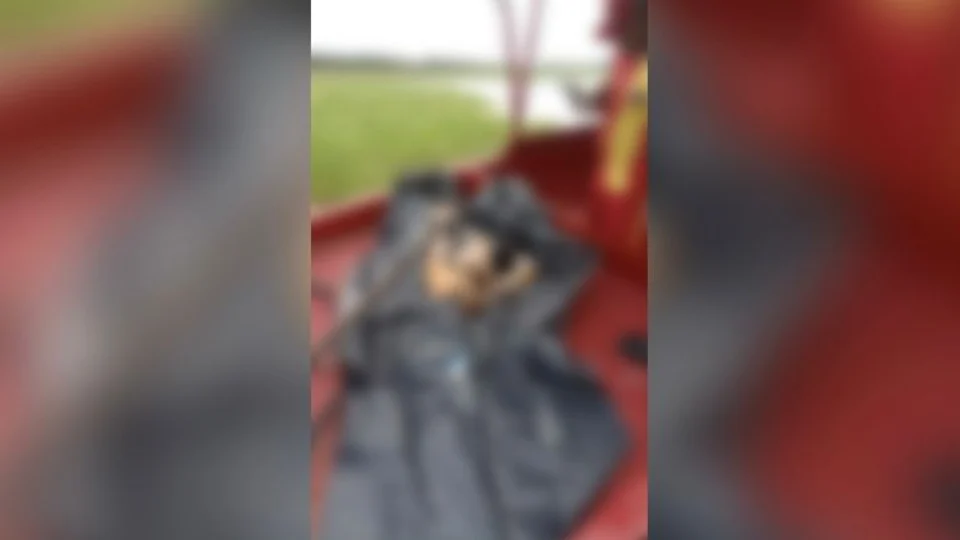 Homem esquartejado é encontrado em lago no Col. Antônio Aleixo