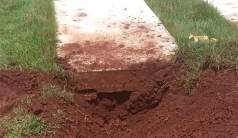 Homem é preso após escavar túmulo para pegar cabeça de sogra falecida