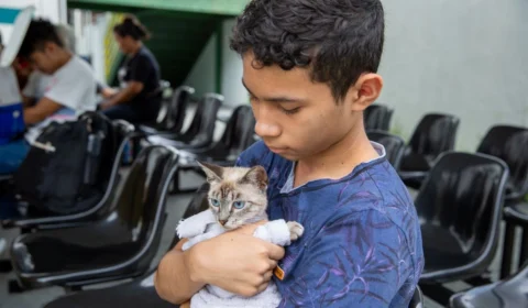 Centro de Zoonoses realiza agendamento para castração de gatos na zona Norte