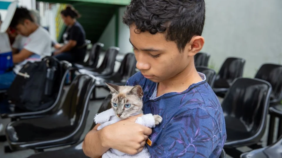 Centro de Zoonoses realiza agendamento para castração de gatos na zona Norte