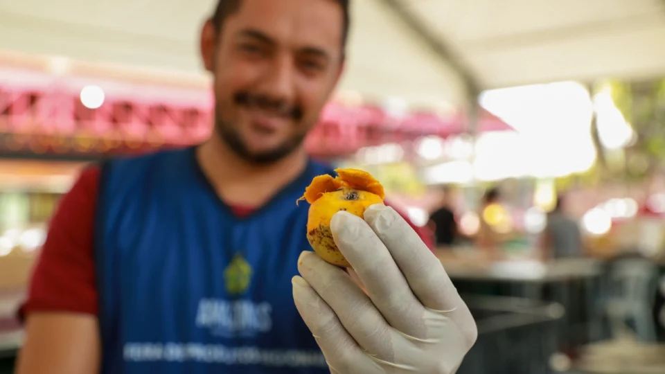 Governo do Amazonas garante apoio a produtores na boa safra do tucumã nas feiras de produtos regionais