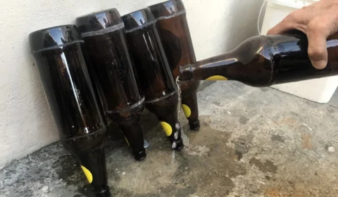 Eliminação de criadouros para mosquitos é a principal estratégia para prevenir a dengue