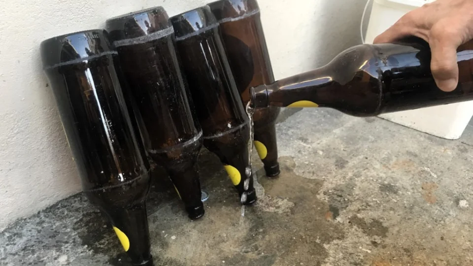 Eliminação de criadouros para mosquitos é a principal estratégia para prevenir a dengue