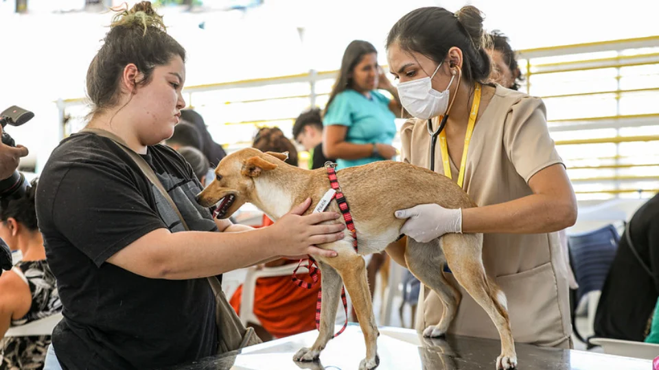 Castramóvel oferece castrações solidárias em Manaus; veja agendamento