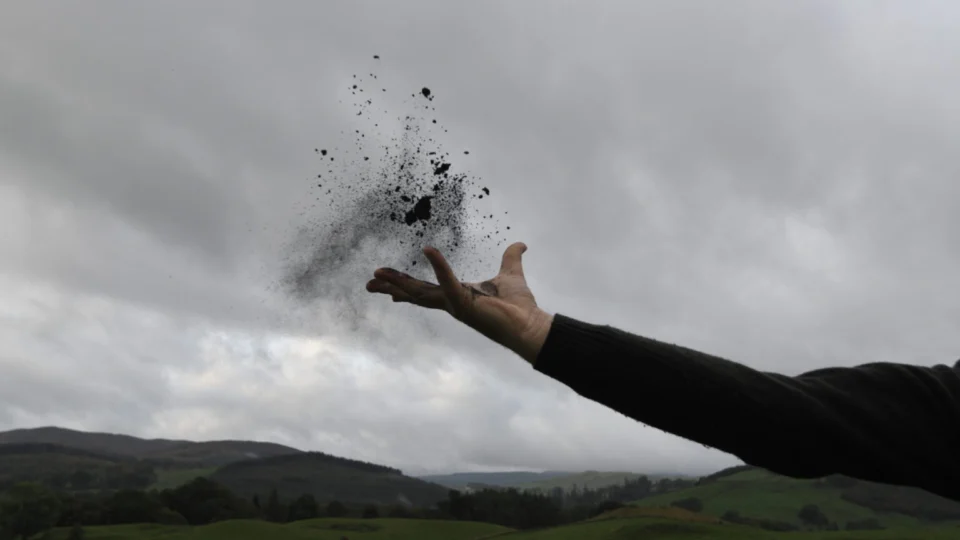 Das Cinzas: Exposição e Leilão para angariar fundos para comunidades indígenas do Xingu 