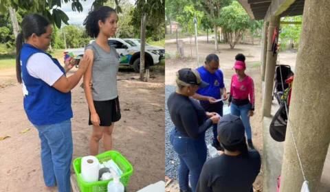 Febre amarela silvestre preocupa município de Alto Alegre em Roraima