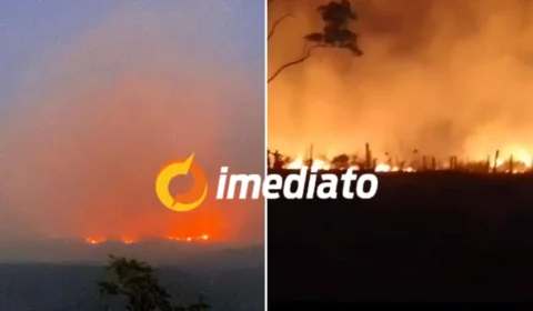 Roraima em chamas: estado enfrenta incêndios florestais e emergência ambiental