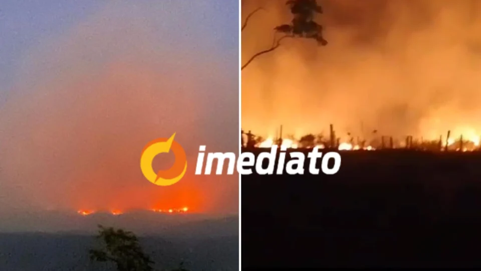 Roraima em chamas: estado enfrenta incêndios florestais e emergência ambiental