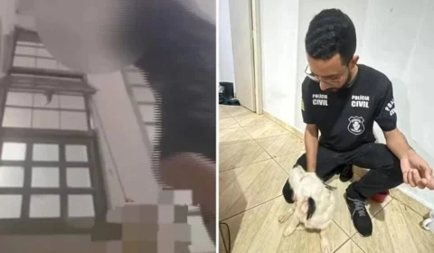 Adolescente é apreendido após enforcar cão e transmitir crime em live
