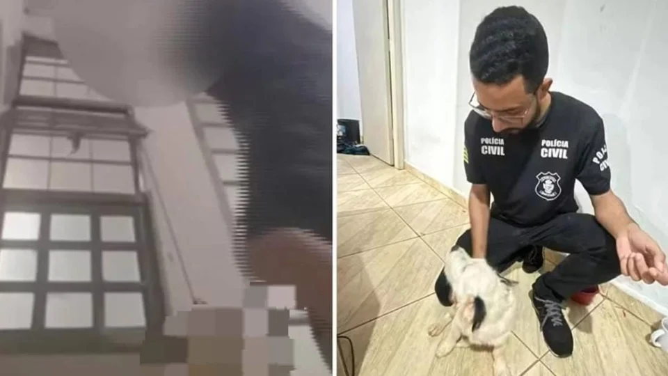 Adolescente é apreendido após enforcar cão e transmitir crime em live
