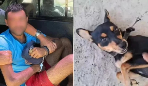 Homem é preso após tentar matar padrasto de 78 anos e deixar cadela sem andar