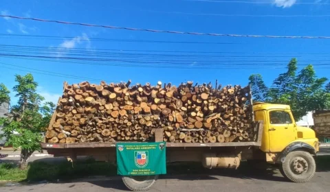 Madeira ilegal é apreendida pelo Batalhão Ambiental da Polícia Militar do Amazonas