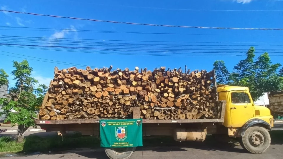 Madeira ilegal é apreendida pelo Batalhão Ambiental da Polícia Militar do Amazonas