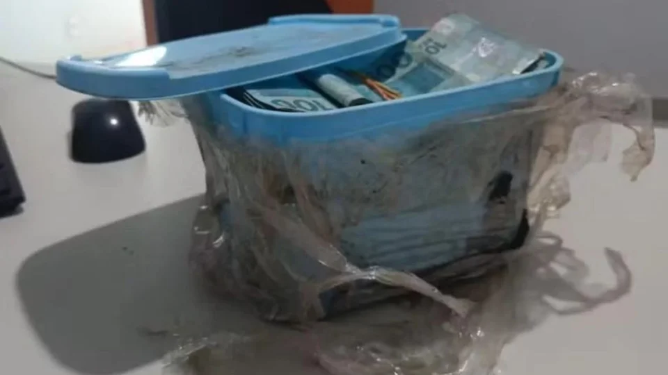 Homem encontra R$ 60 mil enterrados em pote de sorvete em jardim de casa