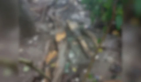 Corpo apodrecendo é encontrado na Efigênio Sales