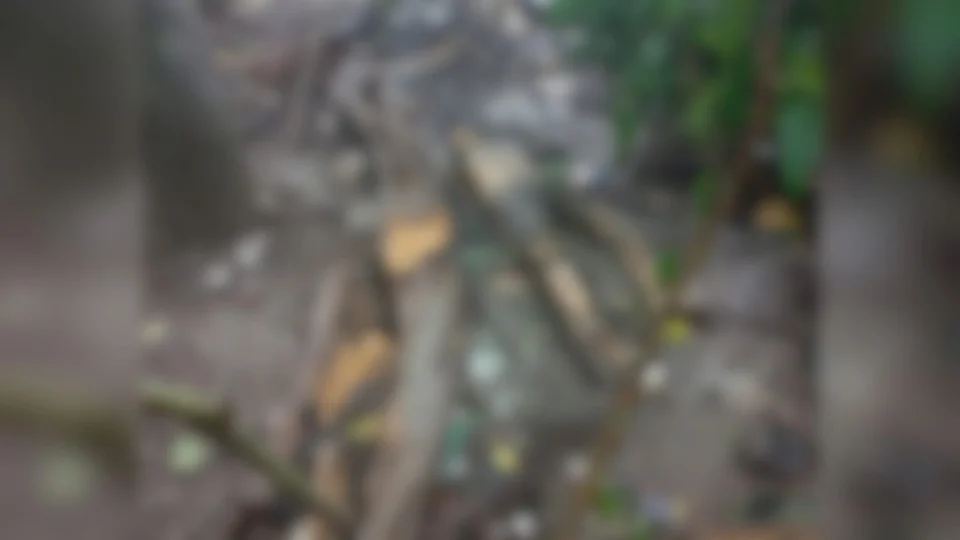 Corpo apodrecendo é encontrado na Efigênio Sales