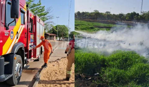 VÍDEO: Incêndio no parque Augusto Germano Sampaio preocupa moradores e bombeiros