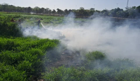 Focos de queimadas em Roraima aumentam 465% em comparação com ano passado