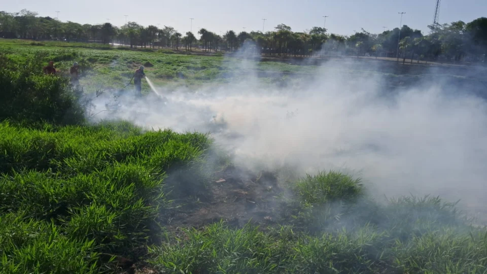 Focos de queimadas em Roraima aumentam 465% em comparação com ano passado