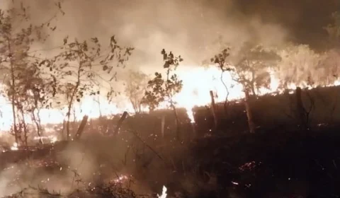 Roraima enfrenta grave crise hídrica e ambiental por causa da seca e das queimadas