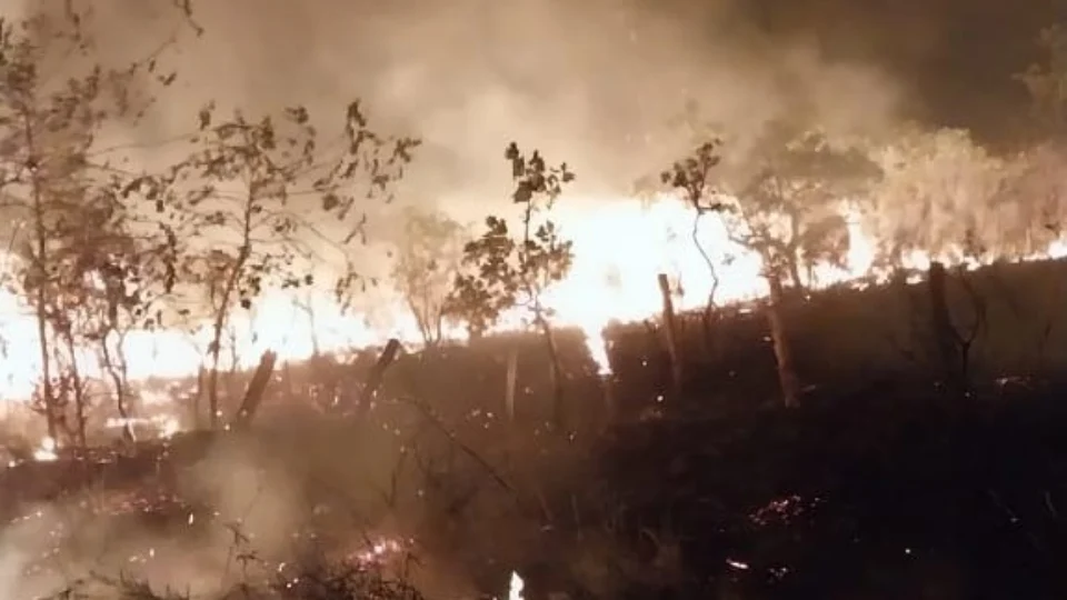 Roraima enfrenta grave crise hídrica e ambiental por causa da seca e das queimadas