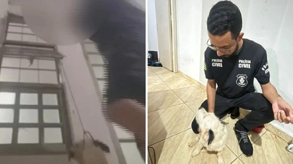 Adolescente é apreendido após fazer live enforcando cachorro