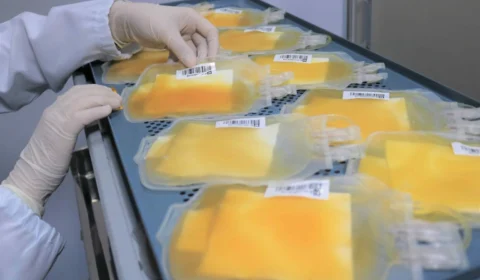 Hemoam reforça campanha para aumentar doações de plaquetas no Amazonas